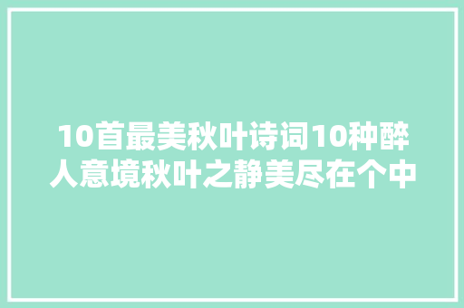 10首最美秋叶诗词10种醉人意境秋叶之静美尽在个中