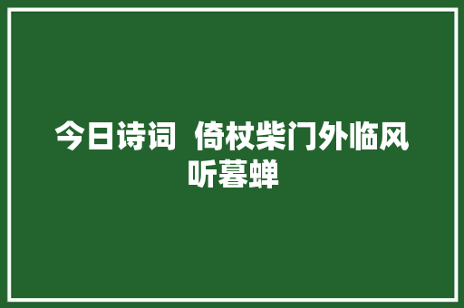 今日诗词  倚杖柴门外临风听暮蝉