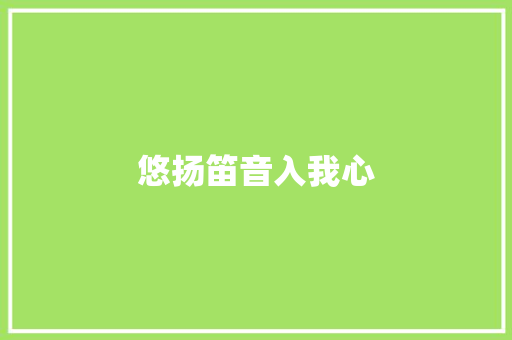 悠扬笛音入我心