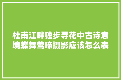 杜甫江畔独步寻花中古诗意境蝶舞莺啼摄影应该怎么表现