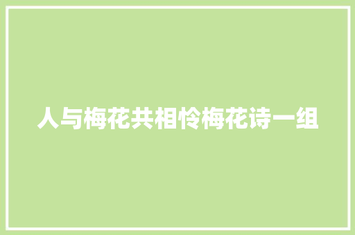 人与梅花共相怜梅花诗一组