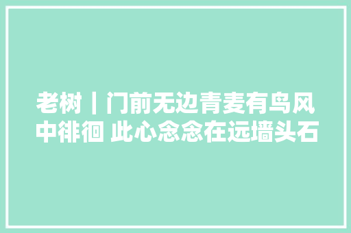 老树｜门前无边青麦有鸟风中徘徊 此心念念在远墙头石榴花开