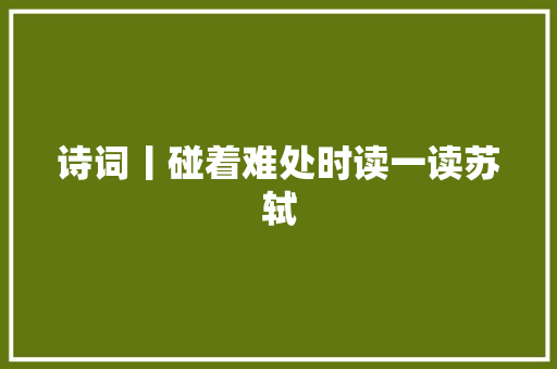 诗词丨碰着难处时读一读苏轼