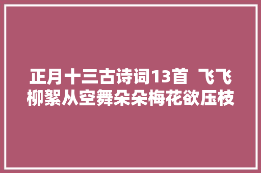 正月十三古诗词13首  飞飞柳絮从空舞朵朵梅花欲压枝