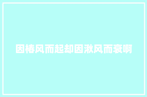因椿风而起却因湫风而衰啊