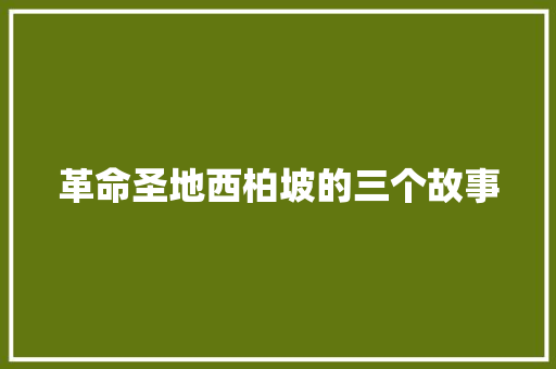革命圣地西柏坡的三个故事