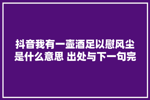 抖音我有一壶酒足以慰风尘是什么意思 出处与下一句完整全文
