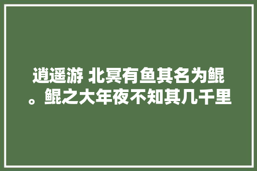 逍遥游 北冥有鱼其名为鲲。鲲之大年夜不知其几千里也
