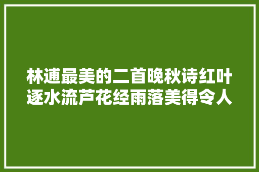 林逋最美的二首晚秋诗红叶逐水流芦花经雨落美得令人心醉