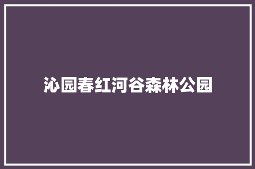 沁园春红河谷森林公园