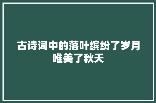 古诗词中的落叶缤纷了岁月唯美了秋天
