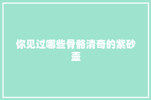 你见过哪些骨骼清奇的紫砂壶