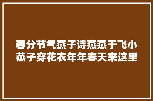 春分节气燕子诗燕燕于飞小燕子穿花衣年年春天来这里