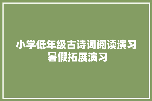 小学低年级古诗词阅读演习 暑假拓展演习