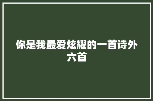 你是我最爱炫耀的一首诗外六首