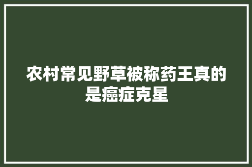 农村常见野草被称药王真的是癌症克星