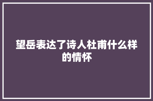 望岳表达了诗人杜甫什么样的情怀