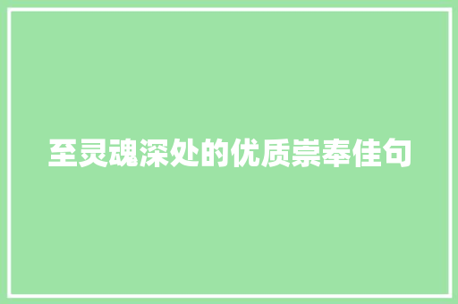 至灵魂深处的优质崇奉佳句