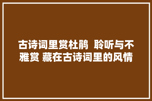 古诗词里赏杜鹃  聆听与不雅赏 藏在古诗词里的风情万种