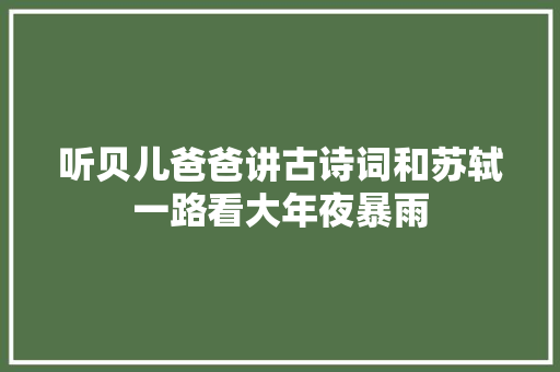 听贝儿爸爸讲古诗词和苏轼一路看大年夜暴雨
