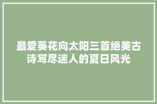 最爱葵花向太阳三首绝美古诗写尽迷人的夏日风光