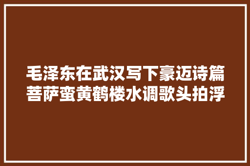 毛泽东在武汉写下豪迈诗篇菩萨蛮黄鹤楼水调歌头拍浮