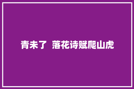 青未了  落花诗赋爬山虎