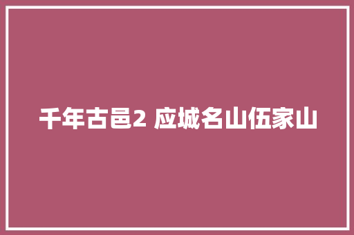 千年古邑2 应城名山伍家山