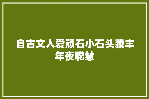 自古文人爱顽石小石头藏丰年夜聪慧