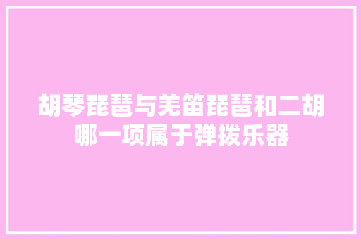 胡琴琵琶与羌笛琵琶和二胡哪一项属于弹拨乐器