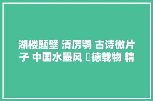 湖楼题壁 清厉鹗 古诗微片子 中国水墨风 垕德载物 精神小食粮