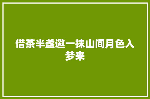 借茶半盏邀一抹山间月色入梦来