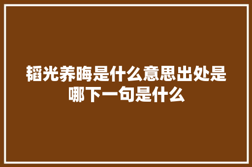韬光养晦是什么意思出处是哪下一句是什么