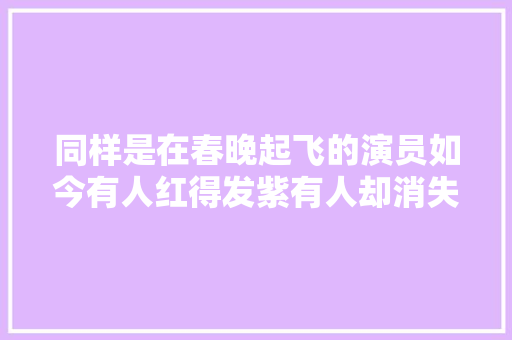 同样是在春晚起飞的演员如今有人红得发紫有人却消失了踪迹