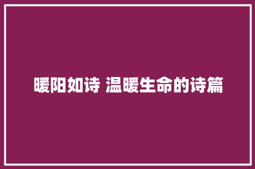 暖阳如诗 温暖生命的诗篇