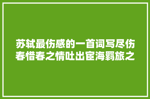 苏轼最伤感的一首词写尽伤春惜春之情吐出宦海羁旅之叹