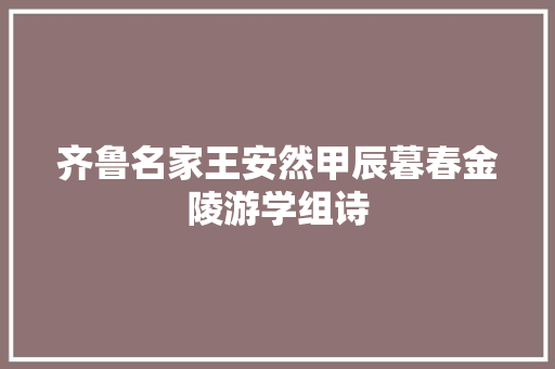 齐鲁名家王安然甲辰暮春金陵游学组诗