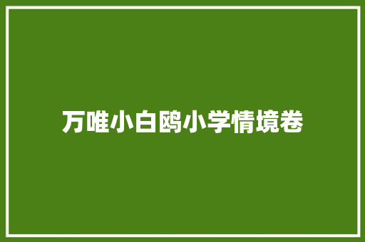 万唯小白鸥小学情境卷