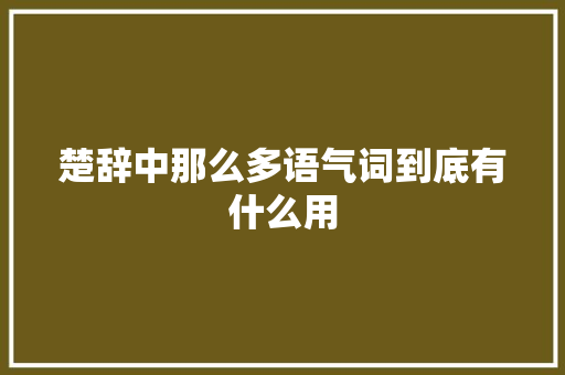 楚辞中那么多语气词到底有什么用