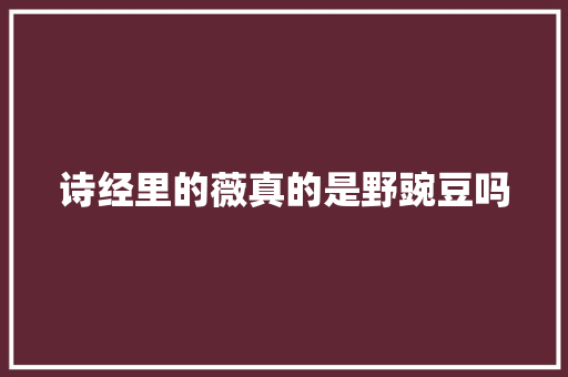 诗经里的薇真的是野豌豆吗