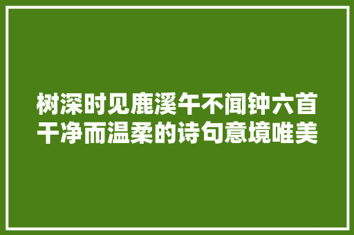 树深时见鹿溪午不闻钟六首干净而温柔的诗句意境唯美