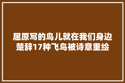 屈原写的鸟儿就在我们身边楚辞17种飞鸟被诗意重绘