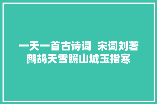 一天一首古诗词  宋词刘著鹧鸪天雪照山城玉指寒