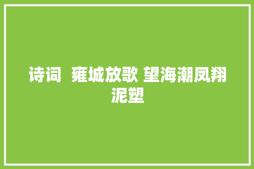 诗词  雍城放歌 望海潮凤翔泥塑