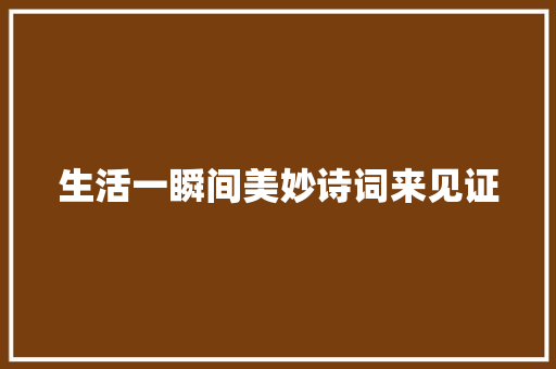生活一瞬间美妙诗词来见证