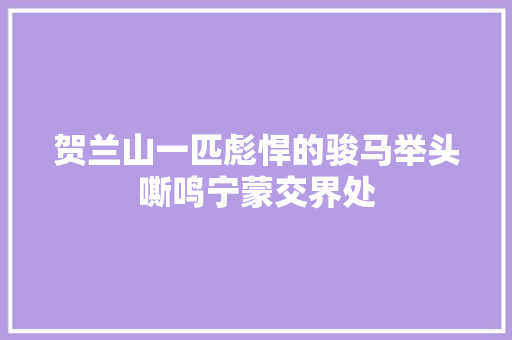贺兰山一匹彪悍的骏马举头嘶鸣宁蒙交界处