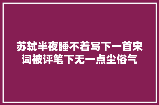 苏轼半夜睡不着写下一首宋词被评笔下无一点尘俗气