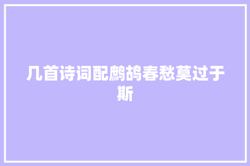 几首诗词配鹧鸪春愁莫过于斯