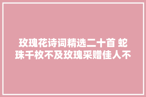 玫瑰花诗词精选二十首 蛇珠千枚不及玫瑰采赠佳人不用琼玖