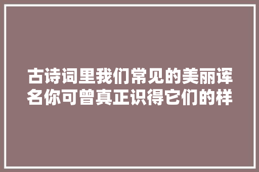 古诗词里我们常见的美丽诨名你可曾真正识得它们的样子